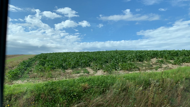老夫婦、北海道にぶっ飛ぶ 車窓編の記事動画