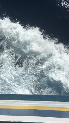 Day 3 マルタ:うさぎのお肉を食すの記事動画