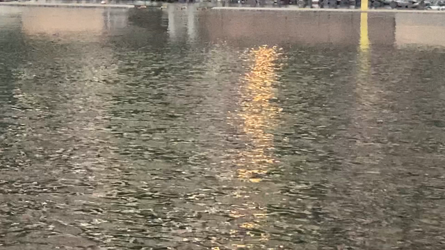 【ギル五反田店】ジェーン・ドー少量入荷です！の記事動画