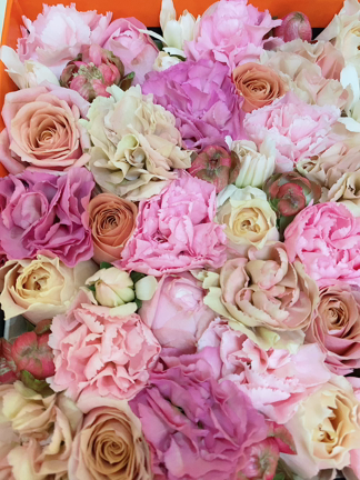 明日はひるおび＆お誕生日プレゼントの記事動画