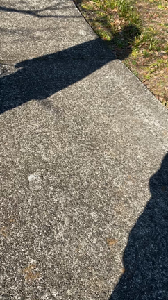 遅いお正月休みの記事動画