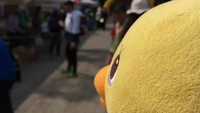 龍馬ハネムーンウォークin霧島二日目！！の記事動画