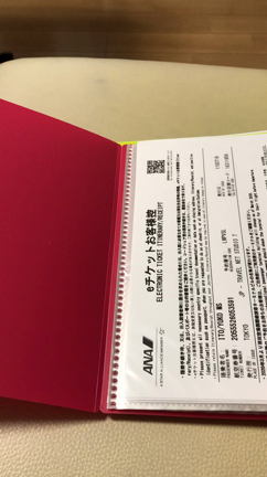 ウィーン情報④持ち物・Wi-fi・ホテル編の記事動画