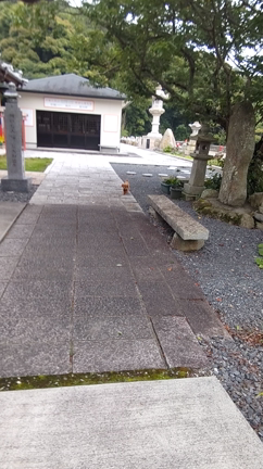 最近の海ちゃんの記事動画