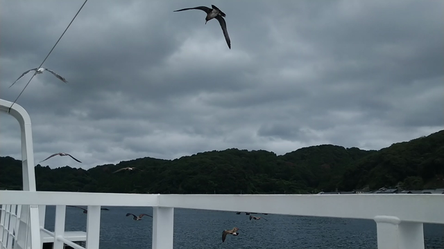 京都府北部旅②の記事動画