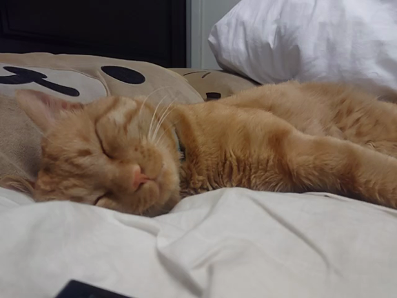 令和元年７月１２日（金曜日）整備ブログの記事動画