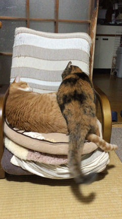 依然として続くの記事動画