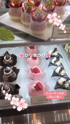 おひめさま祭りの記事動画