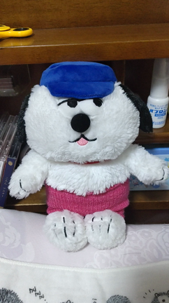 合唱曲にハマるの巻｜おでかけ。の記事動画