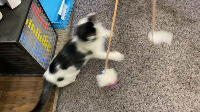 2019年OSL4輪ジムか〜な！？最終戦の記事動画