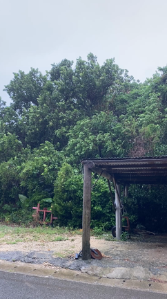 台風11号北へ。暴風警報解除。の記事動画
