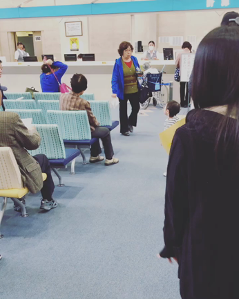 きいちゃんの挨拶回りの記事動画