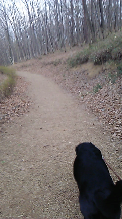 鹿田山の記事動画