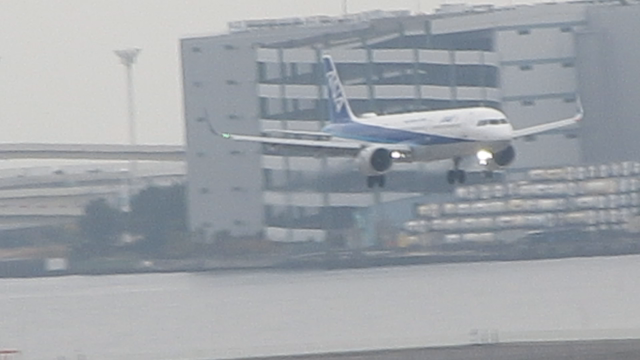 ムスコ薬膳697の記事動画