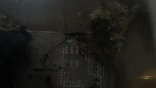 電車通勤嫌だったけど、慣れてきてふと周りを見るとイイ女たくさん歩いてる…悪くない……の記事動画