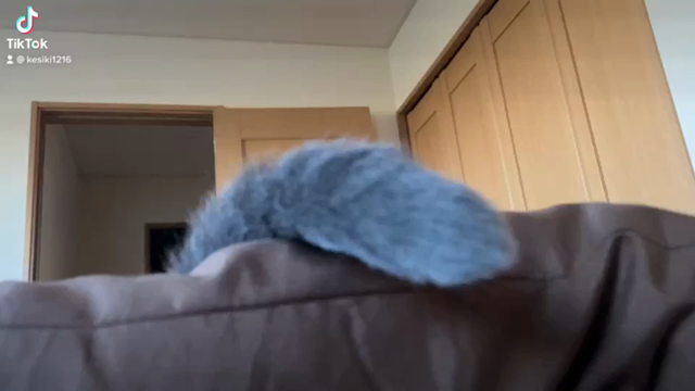 私の器の小ささが出た話の記事動画