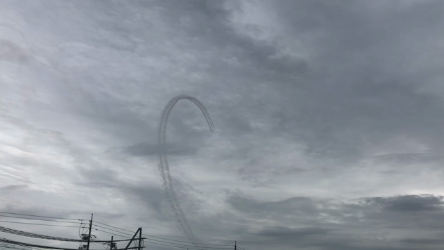 犬のイベントの記事動画