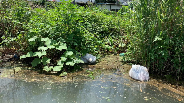 クレヨンしんちゃんの街、春日部市の古利根川清掃活動。の記事動画