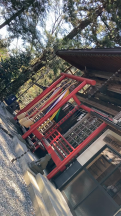 2023/02/28の記事動画