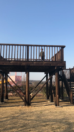 ５歳児がパラシュートを通じて学ぶ物理学の記事動画