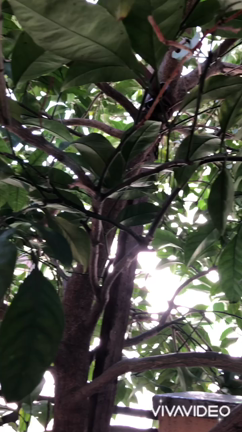 今朝掃除をしていたら…の記事動画