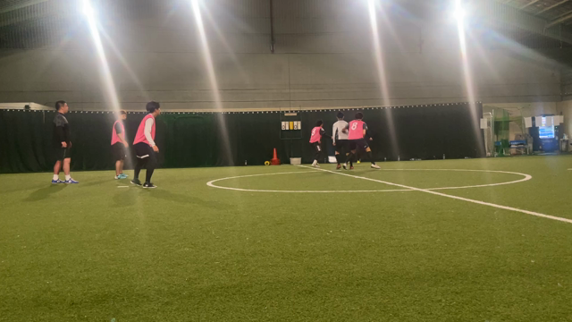 桜満開！の記事動画