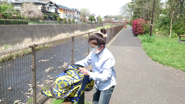 野鳥が窓ガラスにぶつかる事故の記事動画