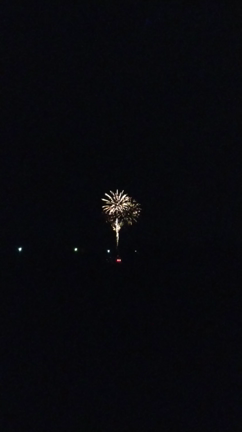 サプライズ花火の記事動画