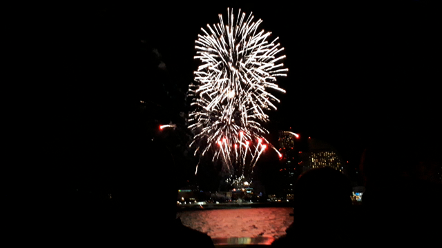 花火の記事動画