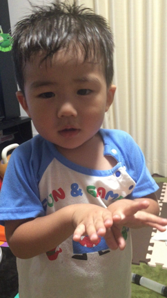 家族でなんでも釣って何でも食べちゃおうお気楽フィッシングの記事動画