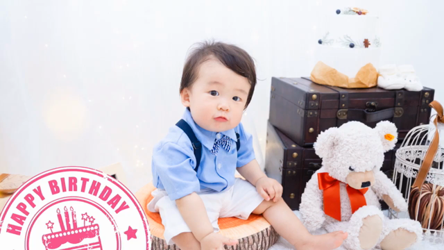 フォトギャラリーの記事動画