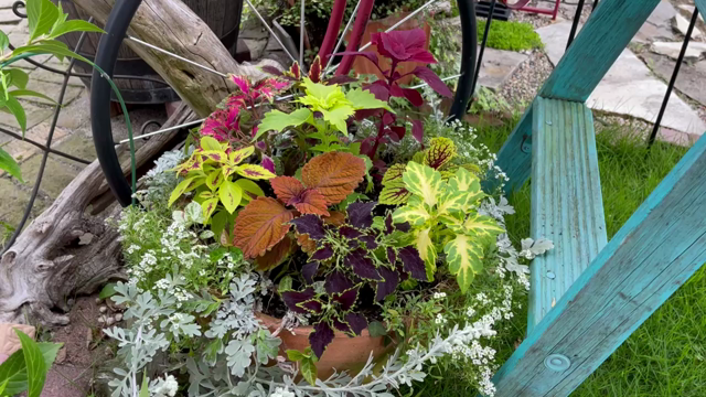 u*a様 人気♡パルプンテ♡極キレイパープル 2苗♡寄せ植え♡カゴ付き