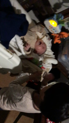 家族が増えました☆*°の記事動画