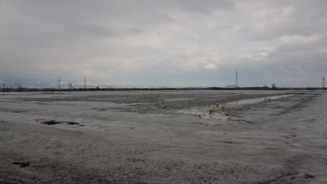 癒し…の記事動画