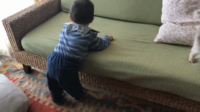一歳0カ月 まとめの記事動画