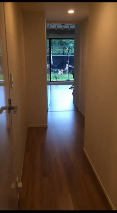 あなたの本当の願いを叶えてくれるの記事動画