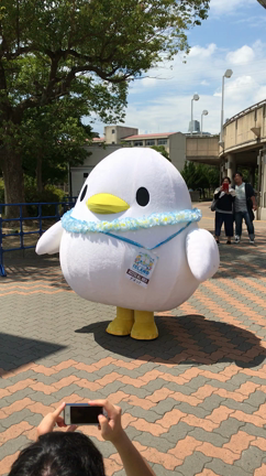 アイランド・ガイシ2日目！の記事動画