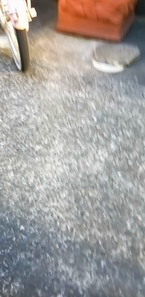 .｡ﾟ+.♪春よ～来い～♪(￣∀￣*)｡+.ﾟの記事動画