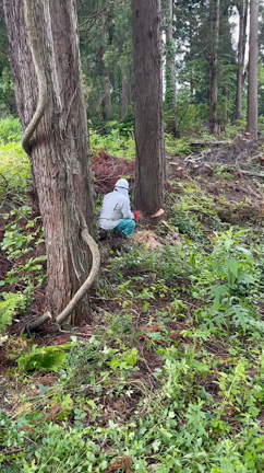 本日も休み☆の記事動画