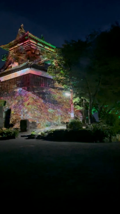 プロジェクションマッピングナイトの記事動画