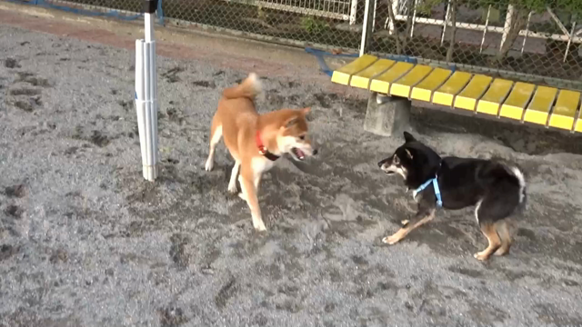 Playing happilyの記事動画