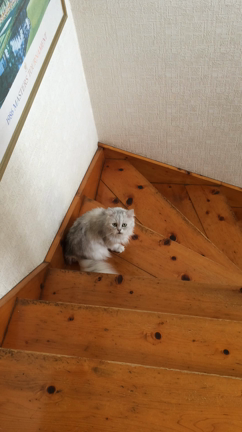 バッティング出来ますよ〜☆の記事動画