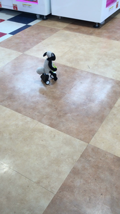 回ってる（笑）の記事動画