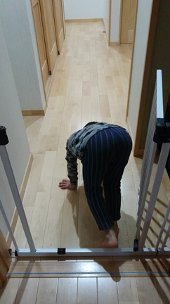 撮れました！の記事動画