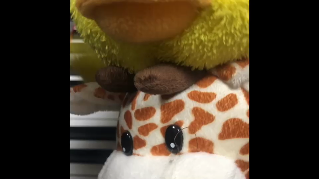 大好き、大好き、リトミック～♪の記事動画