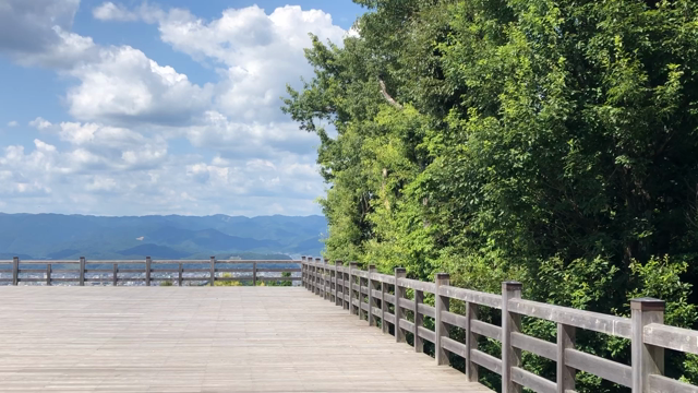 静かな朝の記事動画