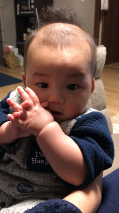 カメラの前だとの記事動画