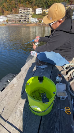 オフ。の記事動画