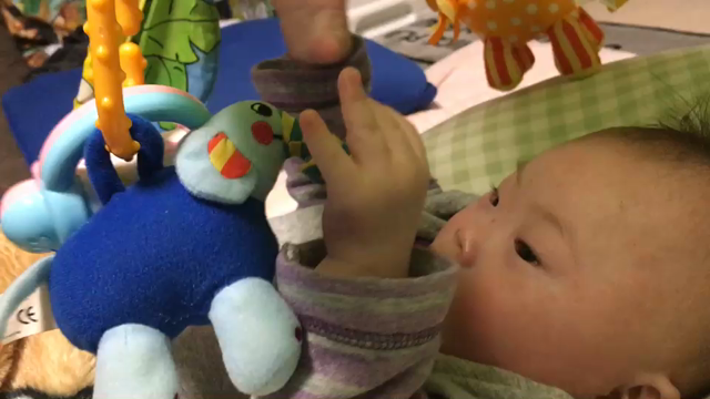 激しい遊びの記事動画