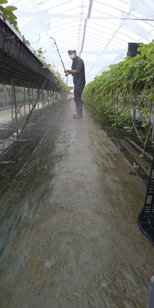 雨がやんだ！防除だ！の記事動画